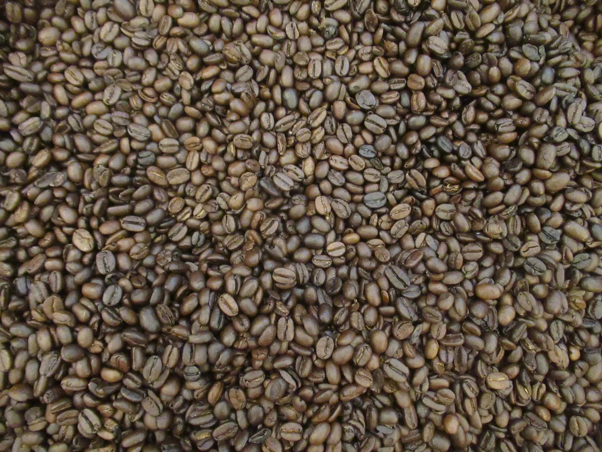 Gambar dekat biji kopi panggang gelap memenuhi bingkai